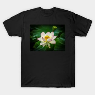 Pink Lotus Flower T-Shirt